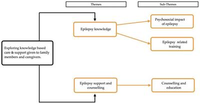 Exploration of health care providers' knowledge-based care and support given to family members and caregivers of people living with epilepsy